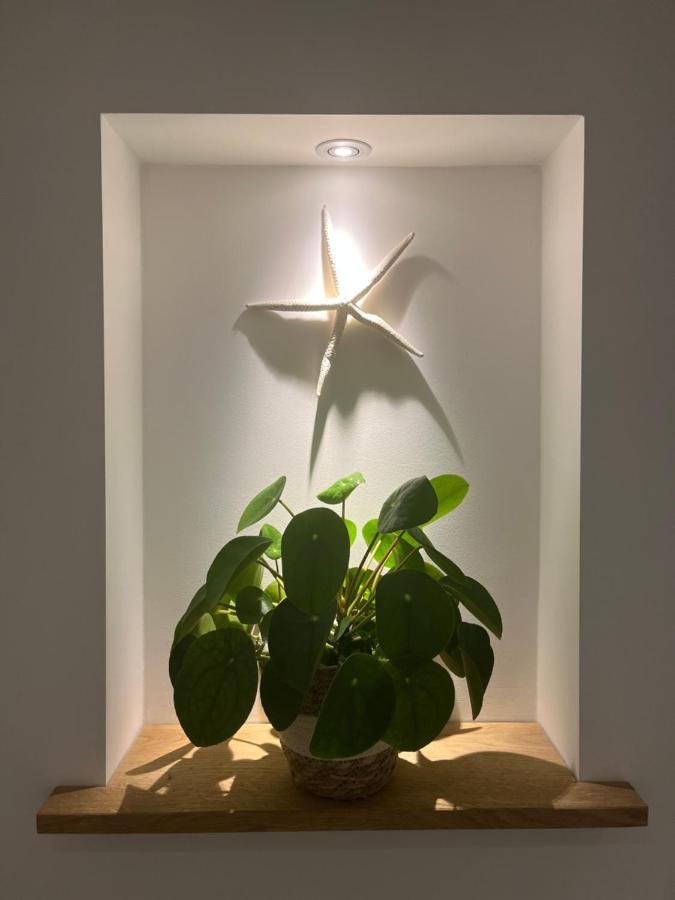 Appartement Van Der Zee 赞德沃特 外观 照片