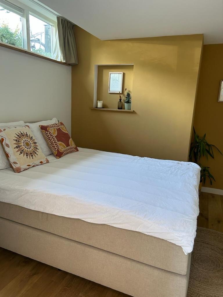 Appartement Van Der Zee 赞德沃特 外观 照片